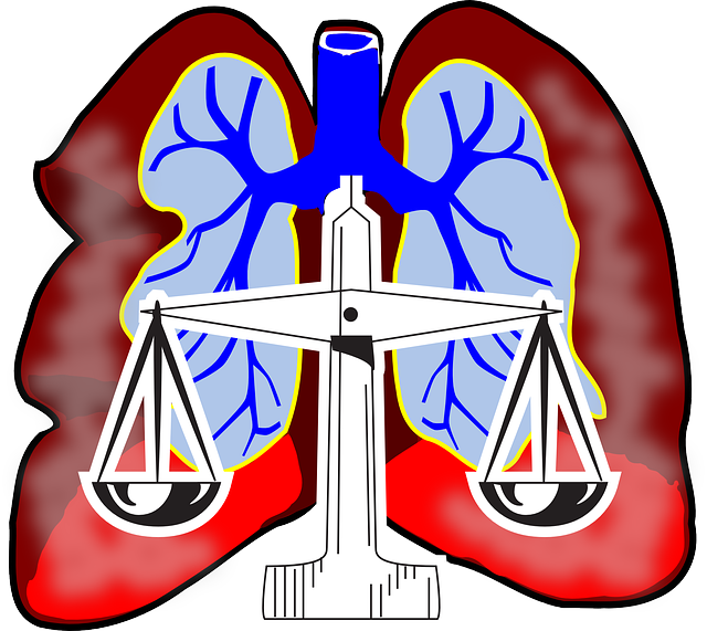 équilibre pulmonaire 