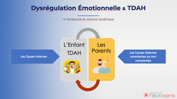 dysrégulation émotionnelle et TDAH