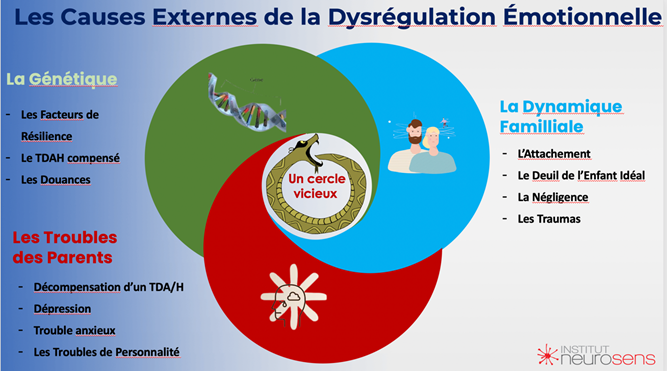 causes externes de la dysrégulation émotionnelle chez l'enfant TDAH